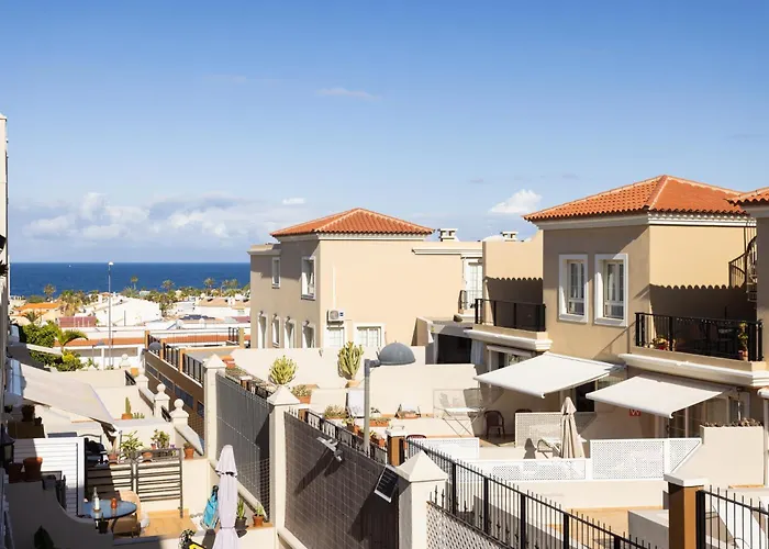 Nova פאלם-מאר