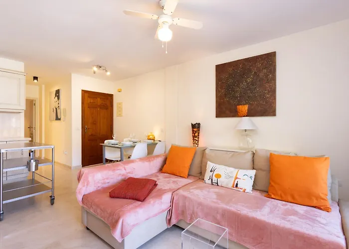 Nova * 팔름-마르