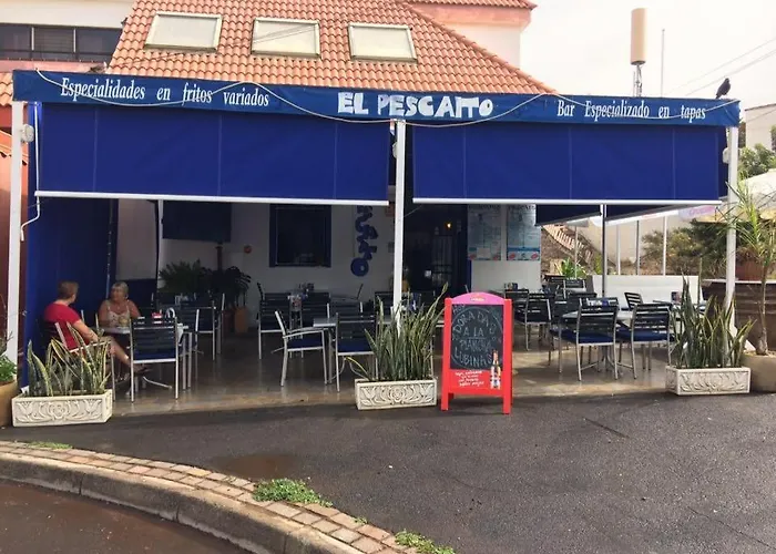 Nova * 팔름-마르